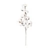 Baumwollezweig - Ca. 50 Cm 1 Baumwollezweig - Ca. 50 Cm -Lumo Geschaft 239029 4016096438210 mica living baumwollezweig braun weiss 01
