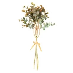 Eukalyptus - Ca. 37 Cm