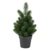Tanne In Topf Grün - Aus Kunststoff - 30 Cm -Lumo Geschaft 240679 4016096443894 mica living tanne in topf 01