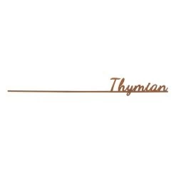 Gewürzstecker Thymian - Aus Metall - Ca. 30 X 3 Cm