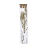 Reagenzglas Mit Trockenblumen - Aus Glas - Ca. 3,5 X 16 Cm 1 Reagenzglas Mit Trockenblumen - Aus Glas - Ca. 3,5 X 16 Cm -Lumo Geschaft 243620 Bild 4016096448677